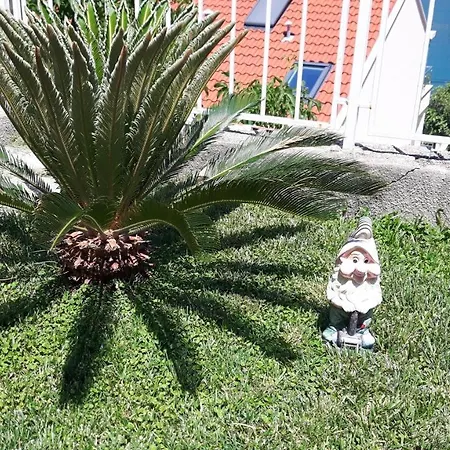 Sirena بيت ضيافة دوبروفينك